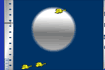 Jeu Bird killer
